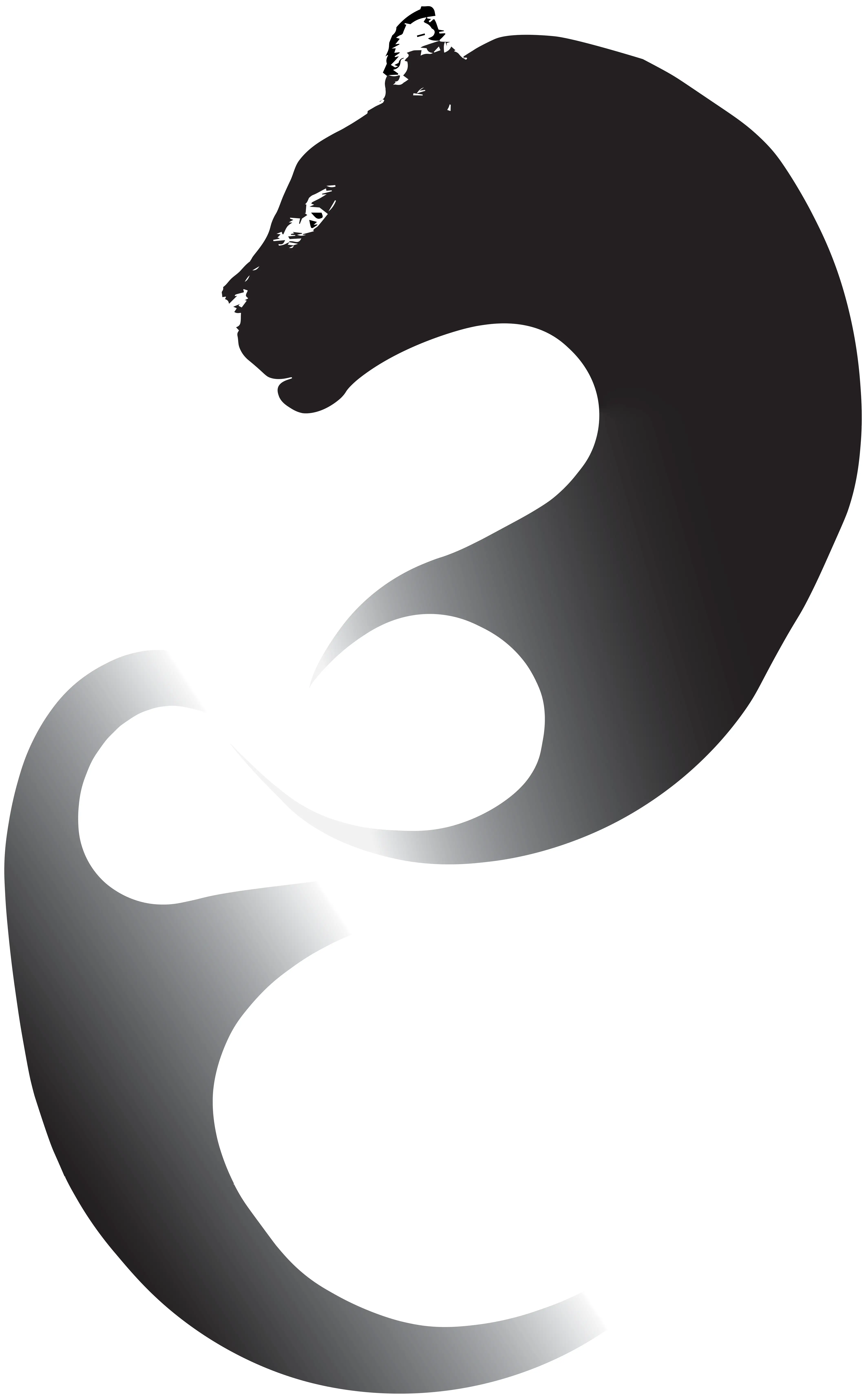 Panthera Logo